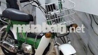 Honda Chaly màu Xanh lá