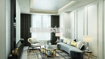 Cần cho thuê căn hộ Remax Plaza ,Đ/C 20 Phạm Đình Hổ, Phường 1,