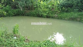 1500m2 Đất Vườn có 200m thổ cư + ao cá