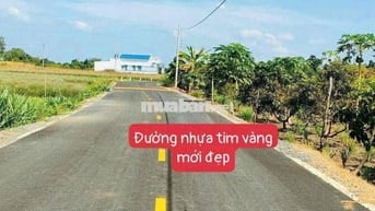 HẠ GIÁ - BÁN 461M2 ĐẤT VƯỜN XÃ ĐẤT ĐỎ- TpP HCM - CẠNH ĐƯỜNG CHUẨN BỊ M