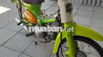Honda Cub 81 Xanh lá, Cam