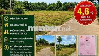 Bán gấp đất thổ cư Tân Phú Đồng Nai 1520m2 sổ riêng