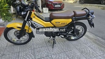 Yamaha PG-1 2024 Vàng