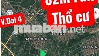 1.8x tỷ 82m full thổ cư đất Nội Bài, Nam Cương 10 phut ra sân bay F0