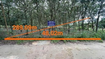 Công ty Đấu giá hợp danh Lam Sơn Sài Gòn THÔNG BÁO ĐẤU GIÁ TÀI SẢN