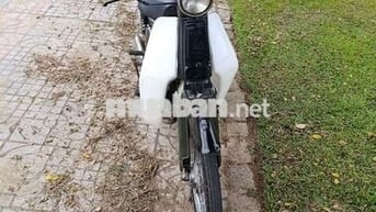 Honda Cub Trắng, xanh rêu