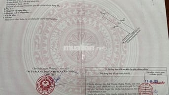 Đất Thổ cư Ấp Thanh Ba, Mỹ Lộc, Cần Giuộc
