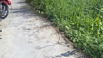 Bán đất nền thổ cư lộ đan 2m trước đất 