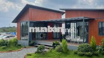 Vợ Chồng Mình Cần Bán Mảnh Vườn 1000m2 bao sang sổ