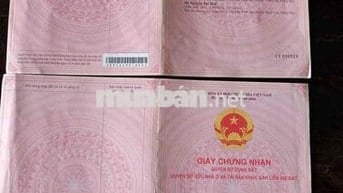 Chính chủ bán 20.000m2 đất Huyện Xuyên Mộc (nay thuộc TP.HCM) - 145m m