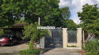 Cho thuê nhà mới nguyên căn, mặt tiền đường Trần Văn Chẩm, Củ chi