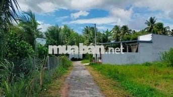 Chỉ từ 270 sở hữu ngay nền 144m² xã Nhơn Phú, Vĩnh Long