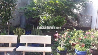 Bán Đất Gần Ngã Tư Cây Me Đại Nam