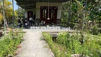 CẦN RA ĐI NHÀ VƯỜN CÓ SẴN CÂY ĂN TRÁI