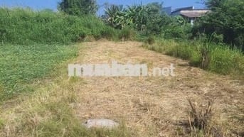 Đất thổ cư 5x30 Hưng Long Bình Chánh