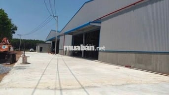 CHO THUÊ  XƯỞNG PHÚ GIÁO BÌNH DƯƠNG HỒ CHÍ MINH DIỆN TÍCH :9000M2