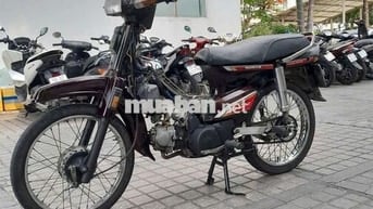 xe dream hàn quốc