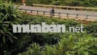 Bán Đất view suối săn mây thung lũng