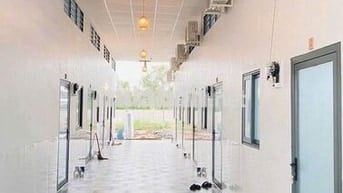 🔥 BÁN DÃY TRỌ THU NHẬP ỔN ĐỊNH – 246m² – 1 KIOT + 8 PHÒNG 🔥