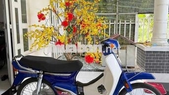 Dream 50cc 2025 siu lướt