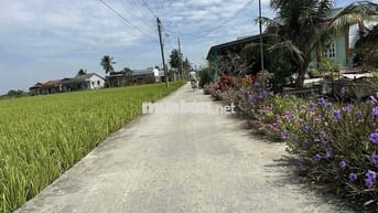 199 Triệu Lô đất Thổ cư 71m2 Khu Dân Cư gần Thị Trấn
