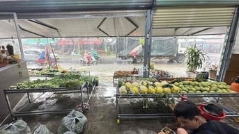 🏡 CHO THUÊ MBKD MẶT TIỀN SONG HÀNH, HÓC MÔN.