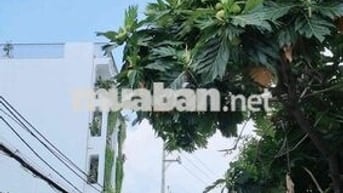 Bán gấp Lô Đất 7,5m x 16m. Mặt Tiền Kinh Doanh. nhỉnh 7 Tỷ