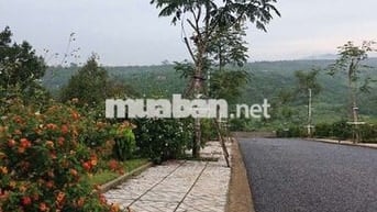 chỉ 1tr/1m2 rẻ nhất khu vực sổ hồng thổ cư,ngay TP Bảo Lộc Cũ
