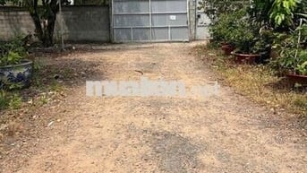 🏭 CHO THUÊ KHO 300m² – GIÁ RẺ HIẾM CÓ TẠI CỦ CHI 🏭