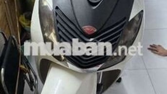 Honda SH 125 2012 Trắng