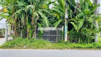 NGỘP NGÂN HÀNG CẦN BÁN NHANH LÔ ĐẤT MT TRẦN QUANG ĐẠO - SỔ HỒNG RIÊNG