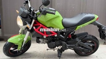 Ducati Mini Xanh lá 110cc