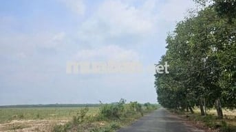 Chủ Cần Tiền Cần Bán Lô Góc TĐC Định Hiệp - Khu A - Ngay Vòng Xoay