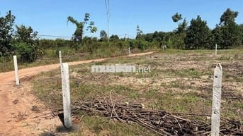 Đất thổ cư lô góc sau Chợ Thái Bình - Xã Minh Thạnh - HCM