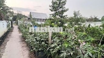 Bán đất Xuân Thới Thượng, Hóc Môn, diện tích 720m²