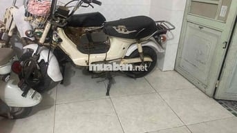 Honda Chaly