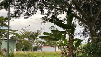 Cần bán lô đất B8 - 28 KDC Daresco Đức Hoà (Tây Ninh)