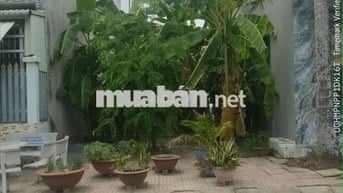 Bán đất mặt tiền nhựa, 6x20- 1ty250, TC, SHR, Vành Đai 4,  Hựu Thạnh