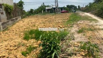Đất Thổ Cư 253m² MT Bàu Công Tân Mỹ Đức Hòa Gần Vingreen 197