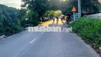 1973m2 đất trồng cây mặt tiền Huỳnh Thị Na-Đông Thạnh-Hóc Môn.16,5ty