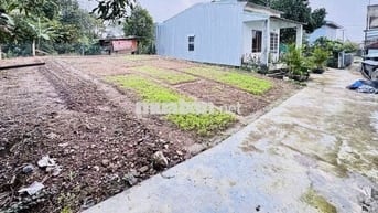 ✅Bán 160m(có 115m đất ở)phường Cẩm Lệ.
