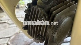 Honda Dream II Trắng Nâu