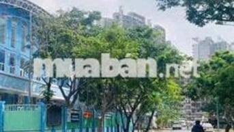 cần bán gấp đất kdc phước kiển a giá 8 tỷ