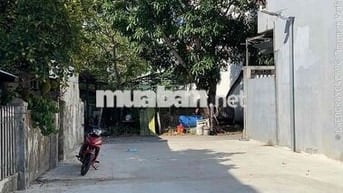 Đất 2 mk Ôtô Mai Đăng Chơn vị trí đẹp giá tốt