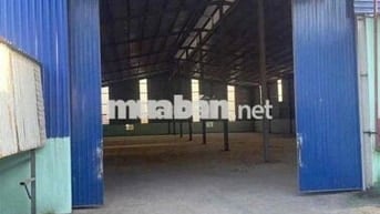 Cho thuê xưởng có KV 3000m2 ,sẵn điện 3F Thuộc Phường Trảng Dài cũ