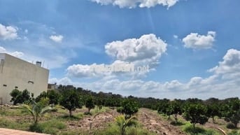 Đất ngay chợ An Thái 250m2 TC 100m2 635tr sổ sẵn công chứng ngay