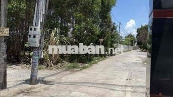 bán dãy trọ phường mỹ xuân , giá 1ty9 có dòng tiền thu nhập , 10-15tr