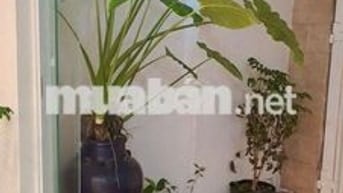 👋👋👋CHO THUÊ MẶT BẰNG TRỆT - 50M2 