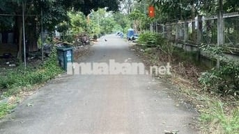 Bán đất mặt tiền đường Tân Thành 60