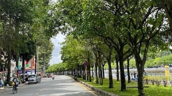 66m2! Chỉ 90tr/m2! Bán nhà 2 tầng Lý Chính Thắng, P8. Hai Bà Trưng.